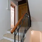 Cavalletto *